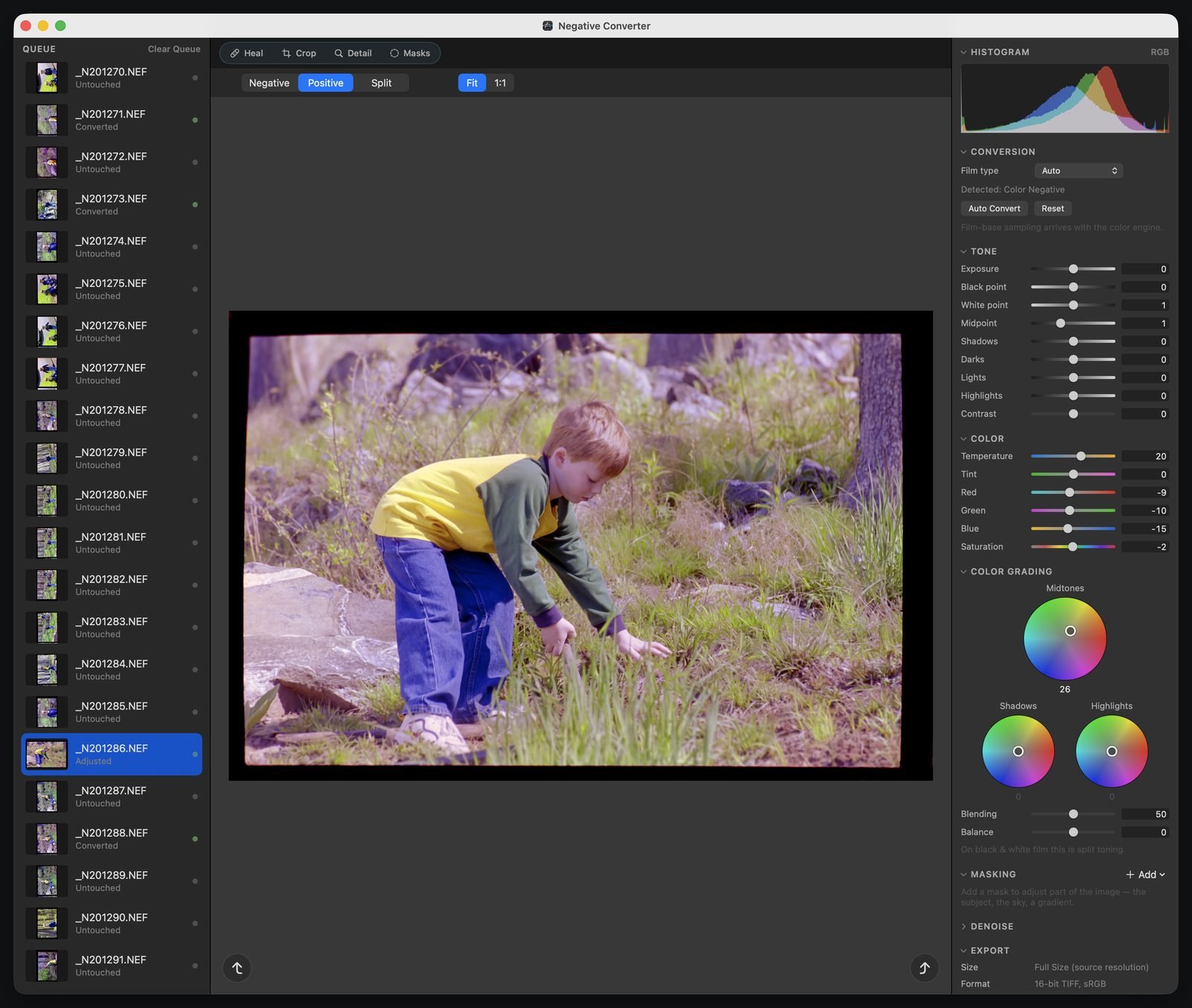 Negative Converter showing a forty-year-old color negative converted to a positive: a boy in a yellow shirt reaching into spring grass, the dark film rebate still framing the picture, with a queue of scans and adjustment panels