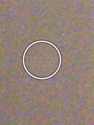The same 1:1 crop after healing: the blemish is gone and the film grain continues uninterrupted through the healed area
