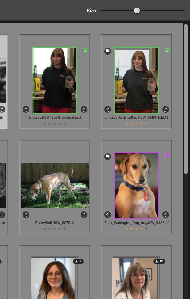 PhotoLibrarian gallery thumbnails showing star ratings, pick flags, and color label badges